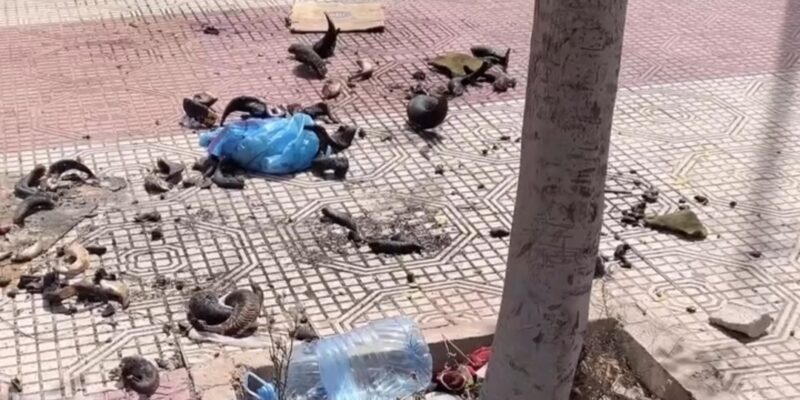 انتقادات تلاحق عملية “شواء رؤوس الأضاحي” في الأزقة و الشوارع